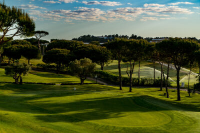 Hole with trees around