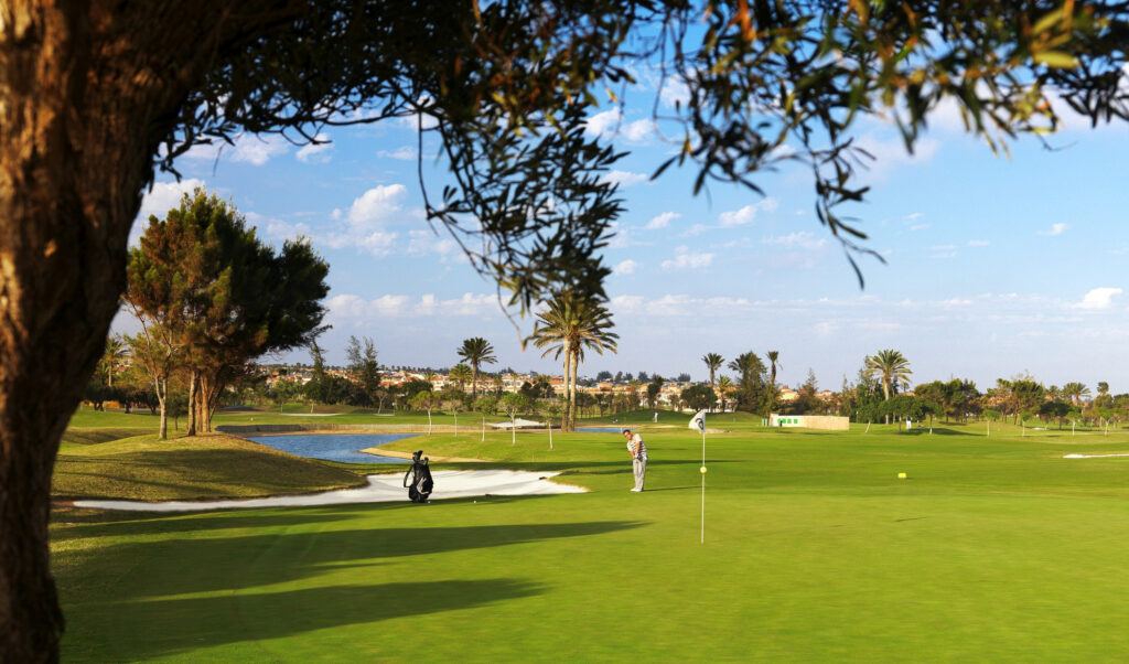 Elba Palace Golf Boutique Hotel golfing resort