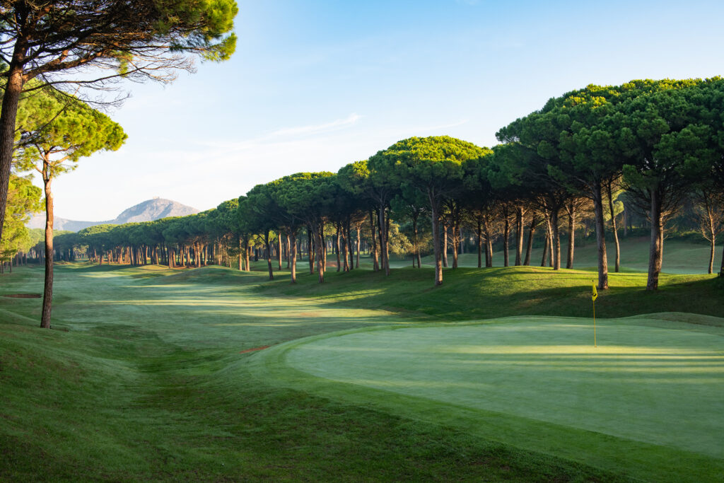 Fairway with trees around at Emporda - Forest Course