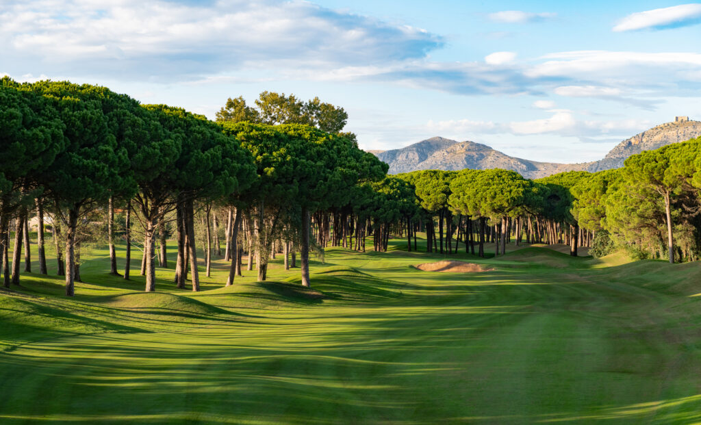 Fairway with bunkers and trees around at Emporda - Forest Course