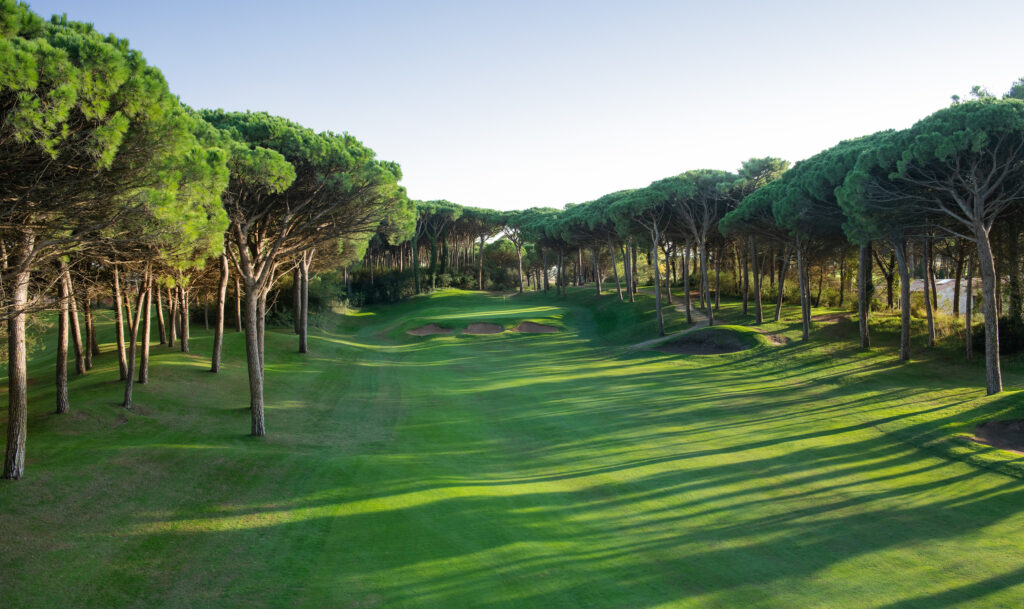 Fairway with bunkers and trees around at Emporda - Forest Course