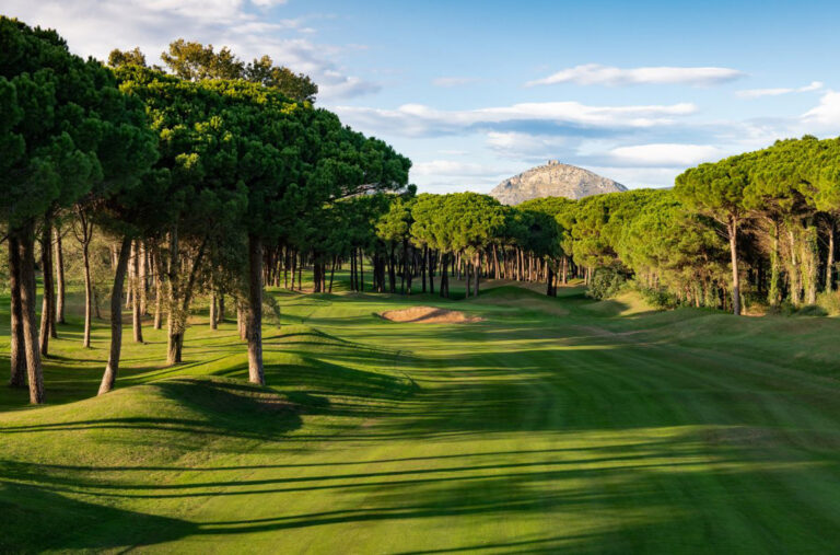 Fairway with bunkers and trees around at Emporda - Forest Course