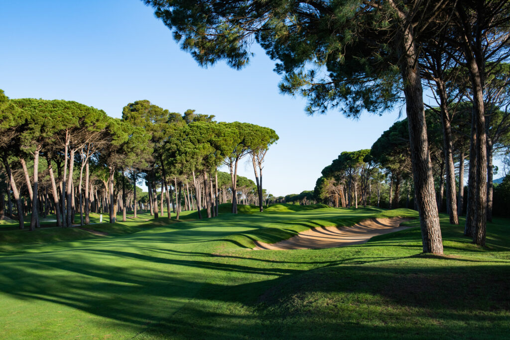 Fairway with bunkers and trees around at Emporda - Forest Course