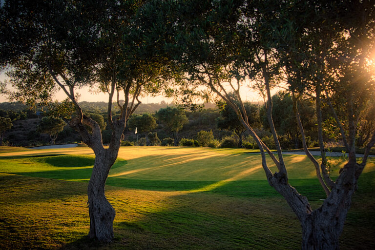 Trees with fairway in background and sun setting at Espiche