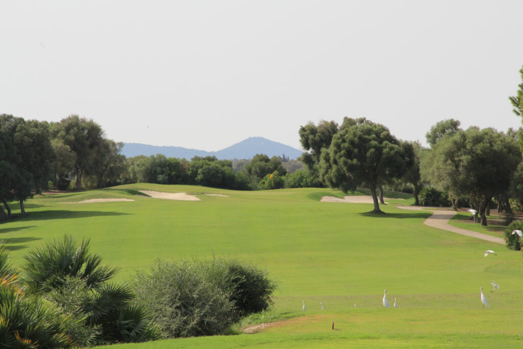 Fairway with bunkers and trees around at Fairplay Golf Club