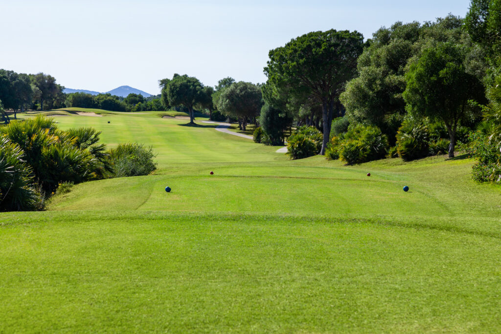 Tee box looking out over the fairway with trees around at Fairplay Golf Club