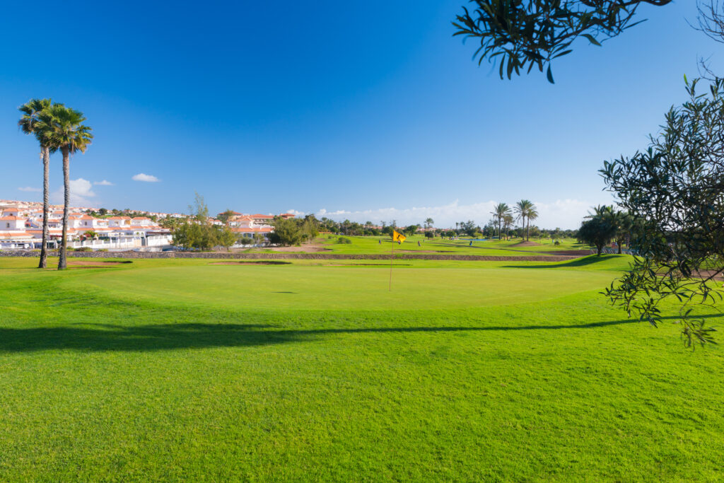 Hole with yellow flag with trees around at Fuerteventura Golf Club