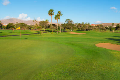 Hole with yellow flag with trees around at Fuerteventura Golf Club