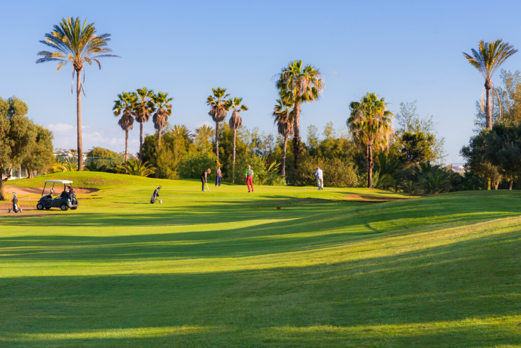 People playing golf at Fuerteventura Golf Club with trees around