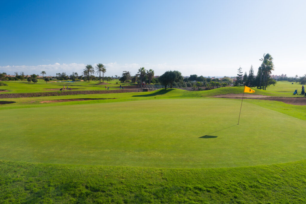 Hole with yellow flag with trees in background at Fuerteventura Golf Club