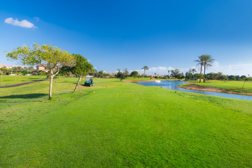 Fairway with trees and a river running through at Fuerteventura Golf Club with a buggy parked