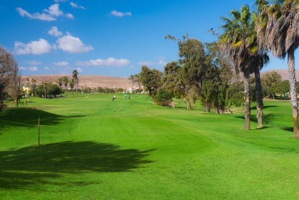 Fairway with trees around at Fuerteventura Golf Club