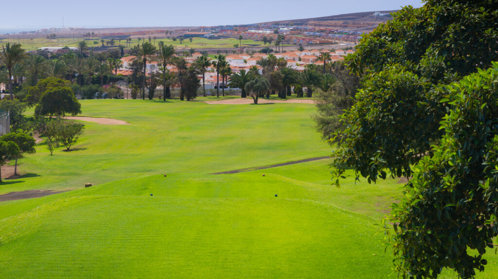 Tee box overlooking the fairway with trees around at Fuerteventura Golf Club