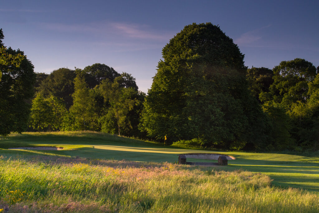 Hole with trees around at Galgorm Championship Course