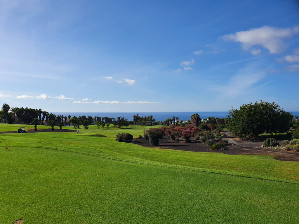 Fairway with trees around at Golf Costa Adeje