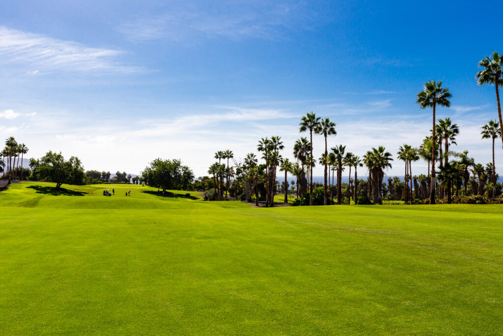 Fairway with palm trees around at Golf Costa Adeje