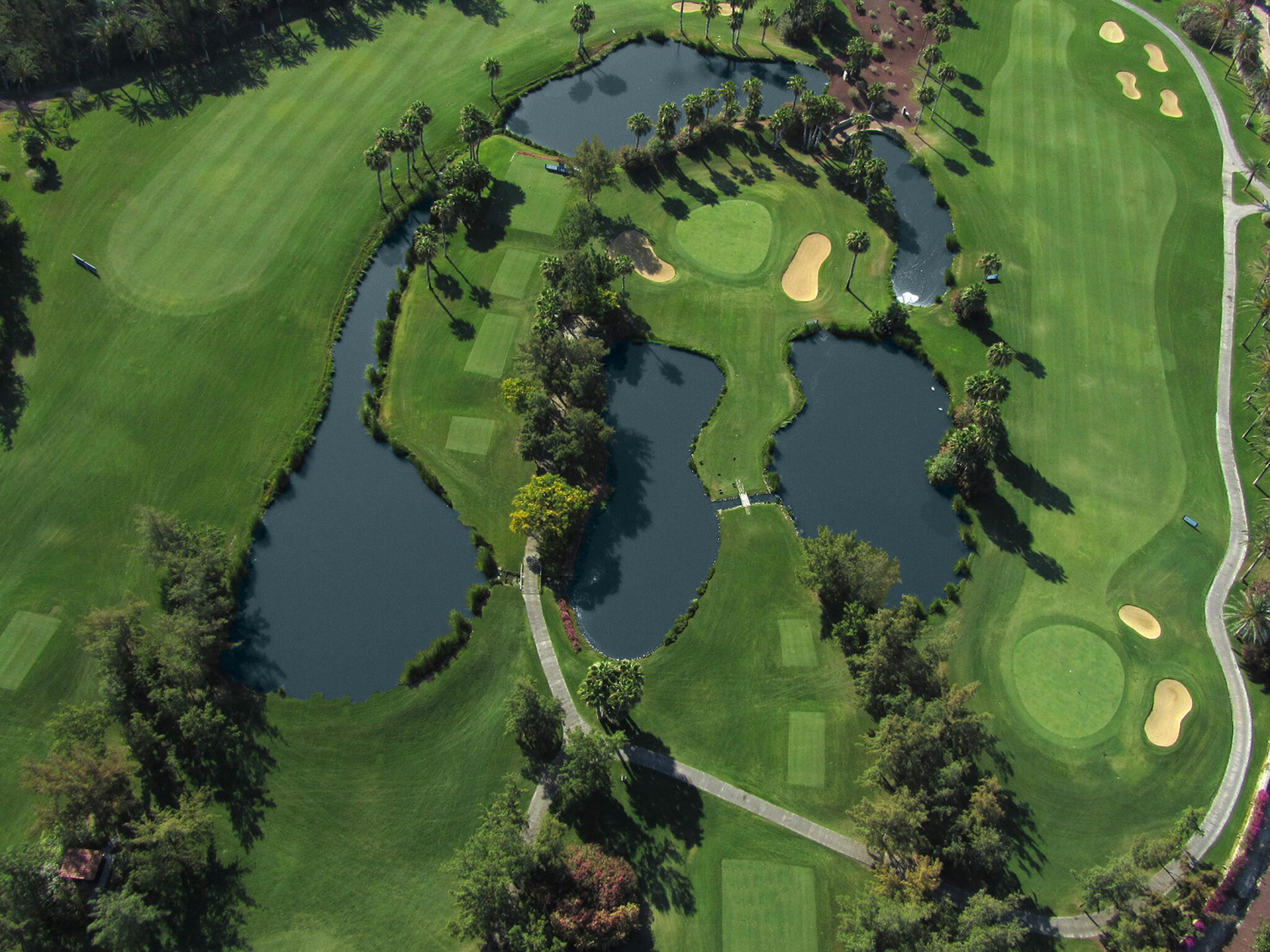 Aerial view of Golf Las Americas