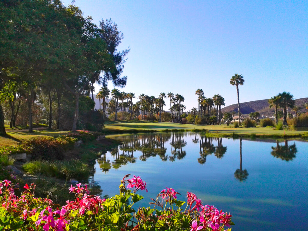 Lake on fairway with trees around at Golf Las Americas