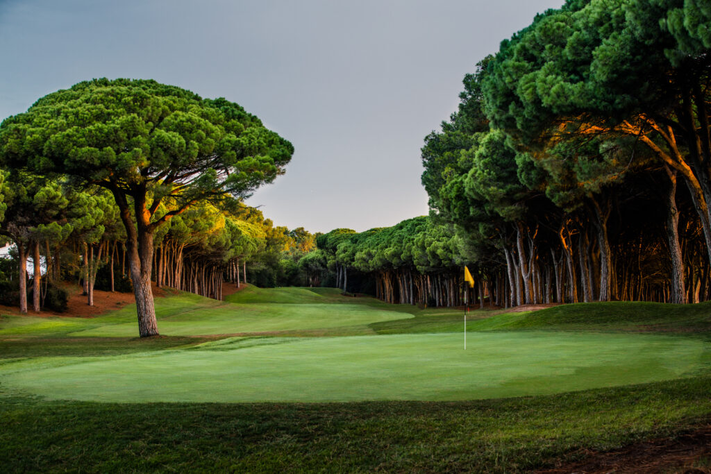 Hole with yellow flag and trees around at Golf de Pals Course