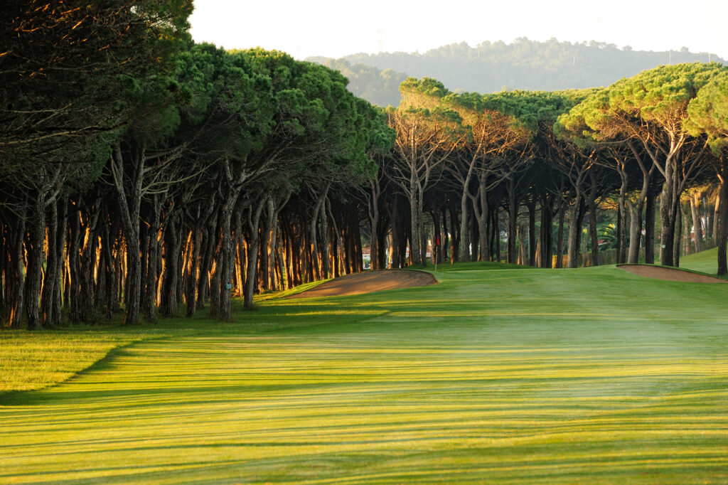 Fairway with bunkers and trees around at Golf de Pals Course