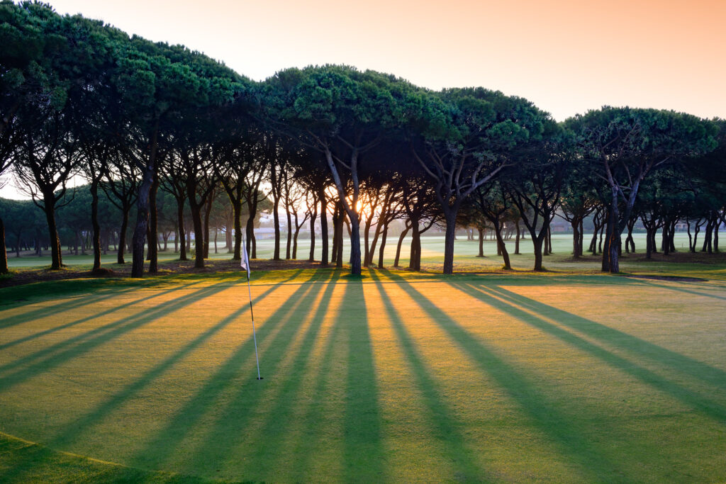 A hole with a white flag and trees around with sunsetting at Golf de Pals Course