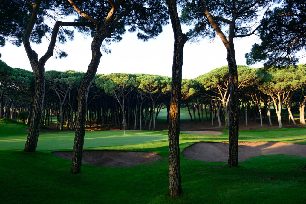 Bunkers with trees around and a hole with a red flag at Golf de Pals Course