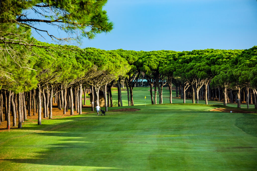 Fairway with trees around at Golf de Pals Course