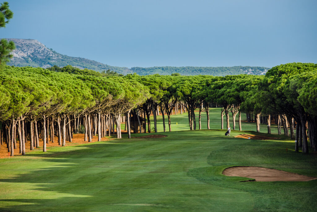 Fairway with trees around at Golf de Pals Course