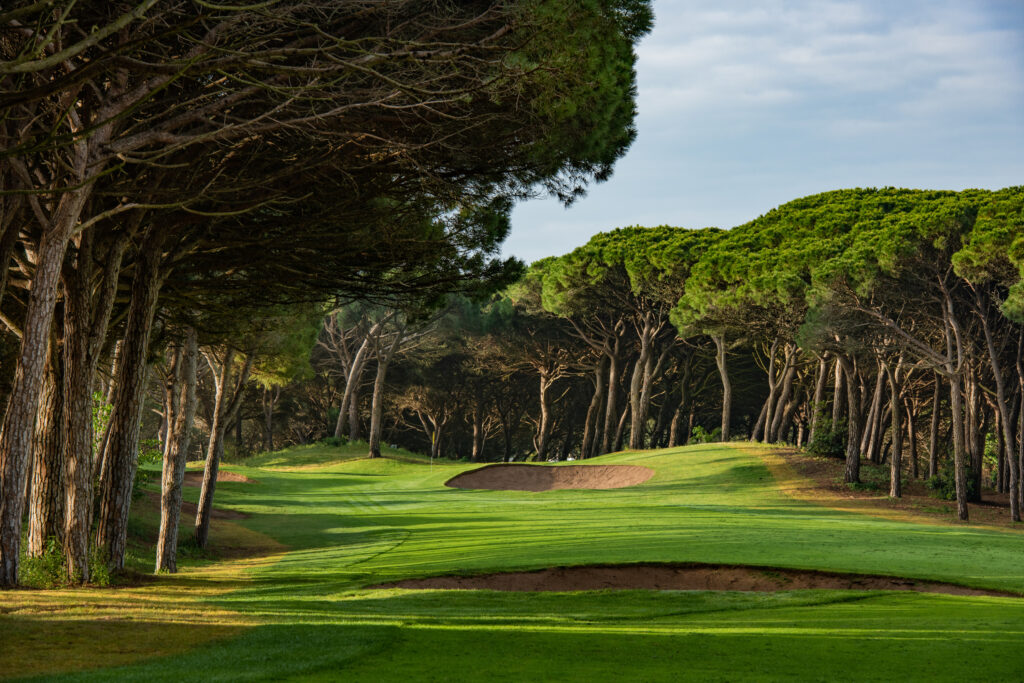 Fairway with bunkers and trees around at Golf de Pals Course