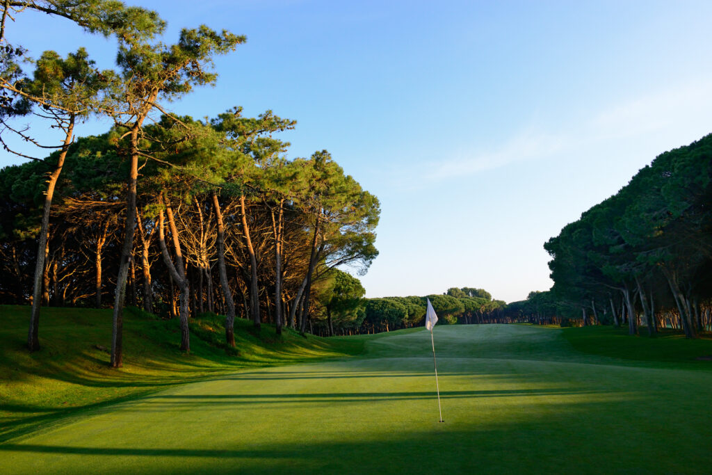 Hole with white flag with trees around at Golf de Pals Course