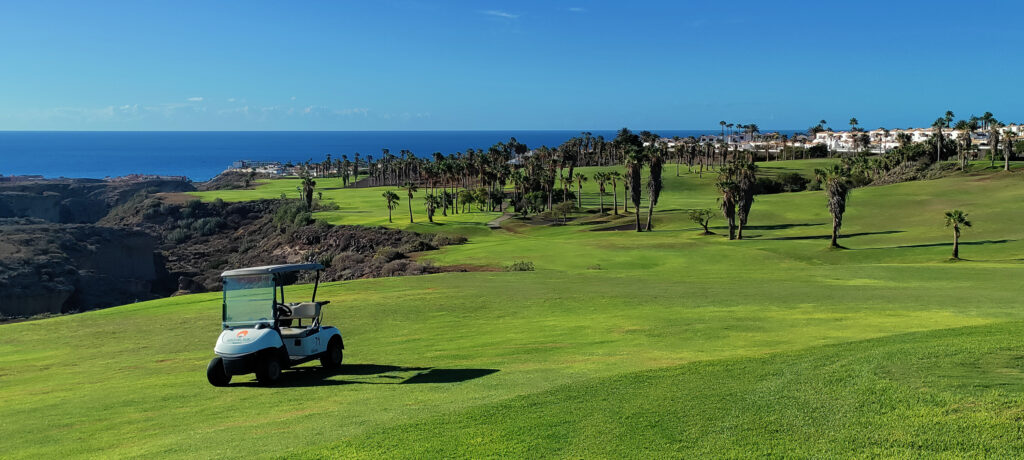 Fairway with buggy and trees in background at Golf del Sur