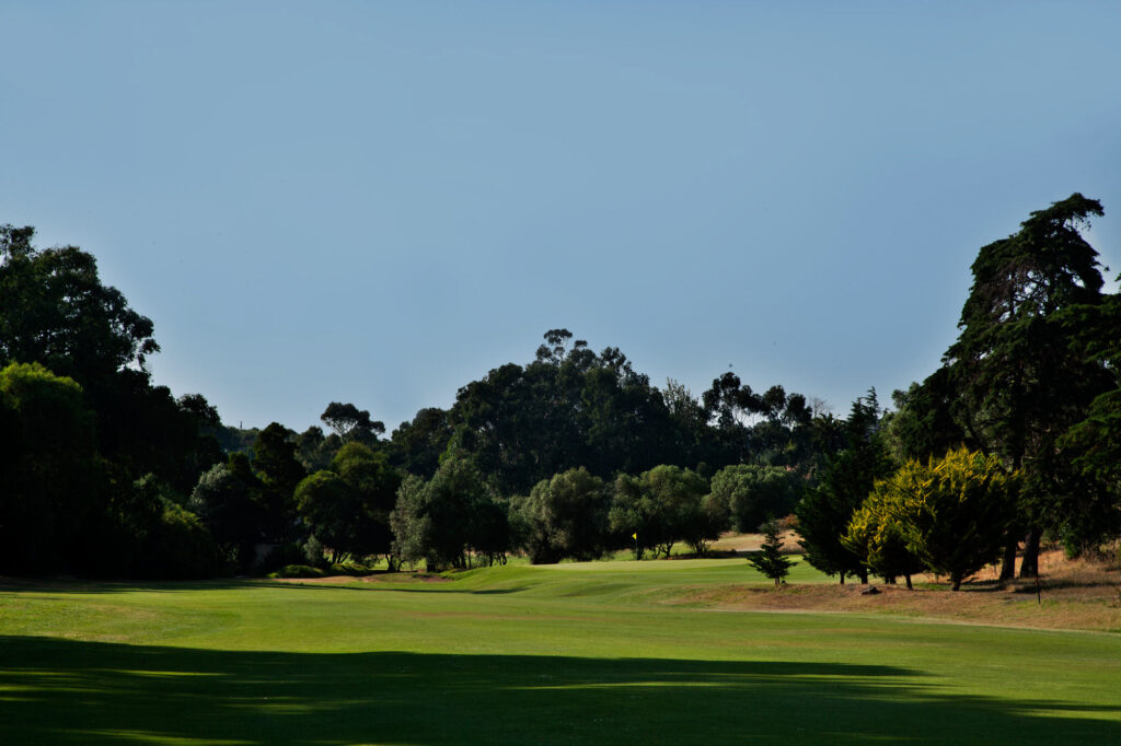 Fairway surrounded by trees at Golf do Estoril Golf Course