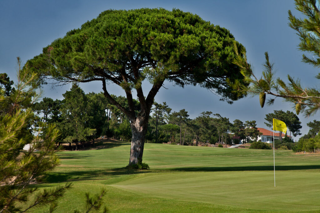 Hole with tree next to it at Golf do Estoril Golf Course