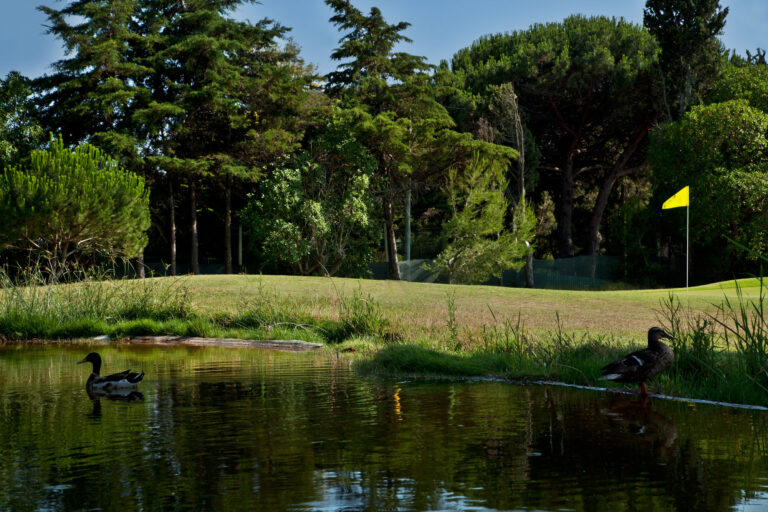 Pond with ducks on at hole with trees in background at Golf do Estoril Golf Course