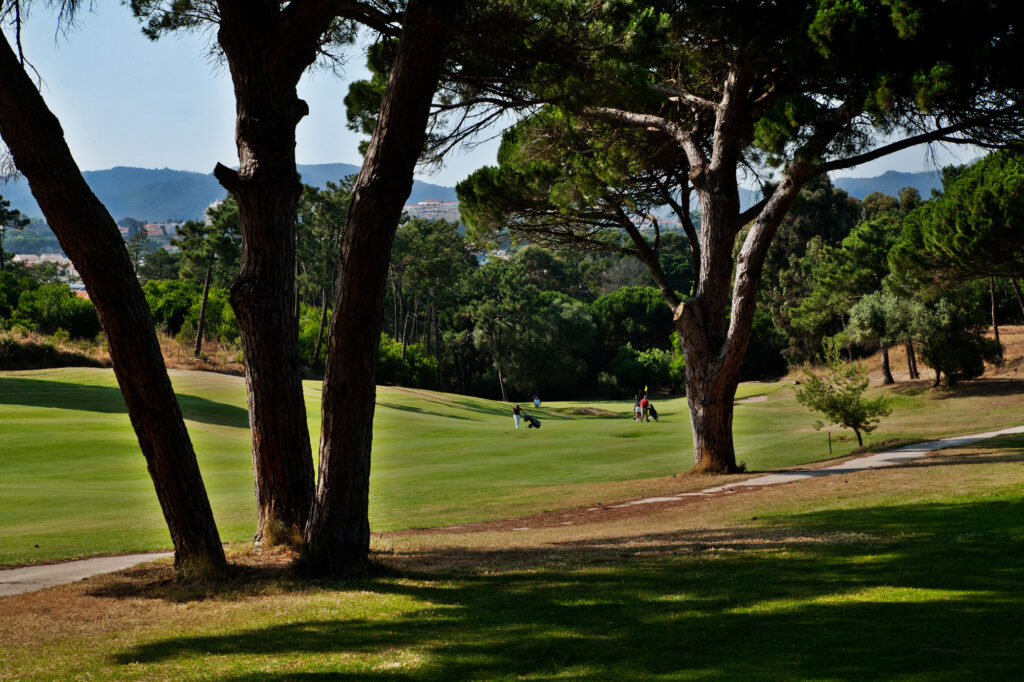 People playing golf on the fairway with trees in the foreground at Golf do Estoril Golf Course