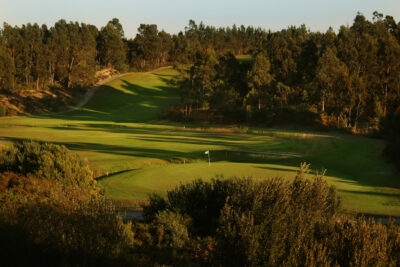 Hole with white flag surrounded by trees at Guardian Bom Sucesso