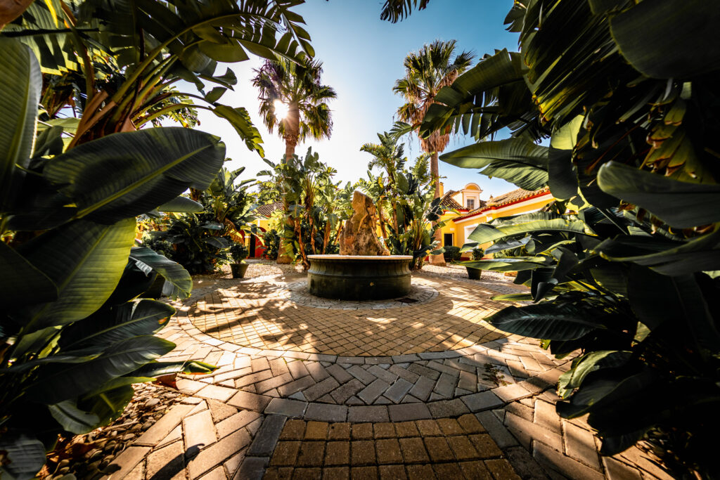 Gardens at Hacienda Montenmedio