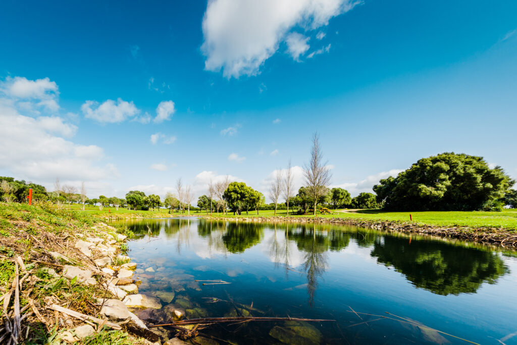 Lake with golf at Hacienda Montenmedio