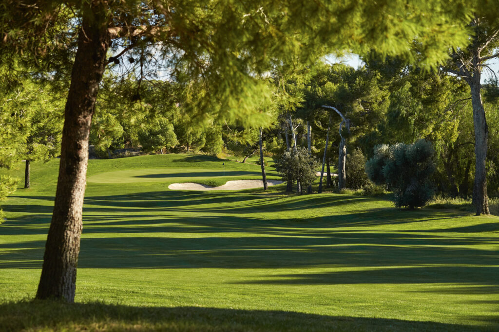 Fairway with trees around with hole in distance at Infinitum Hills Course