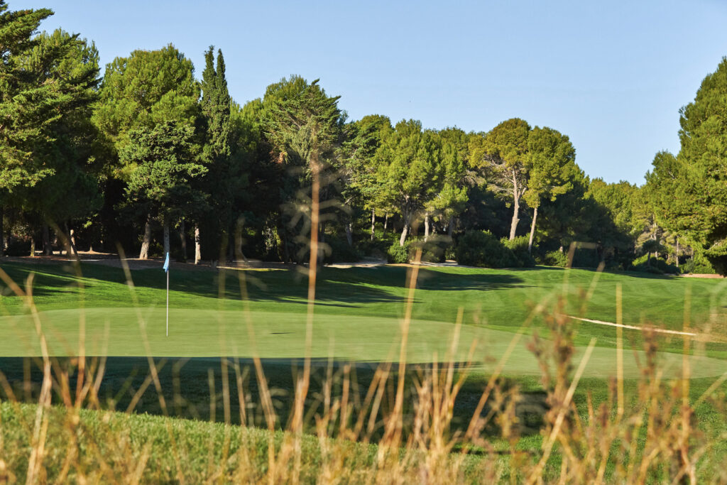 Hole with trees around at Infinitum Hills Course