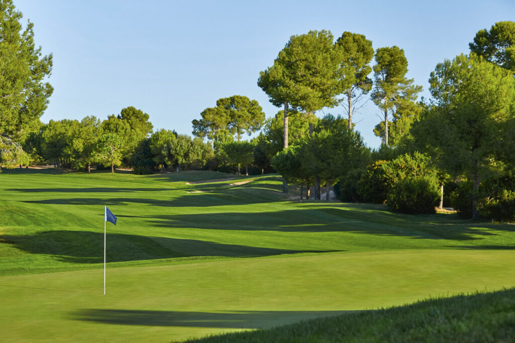 Hole with blue eyes with trees around at Infinitum Hills Course