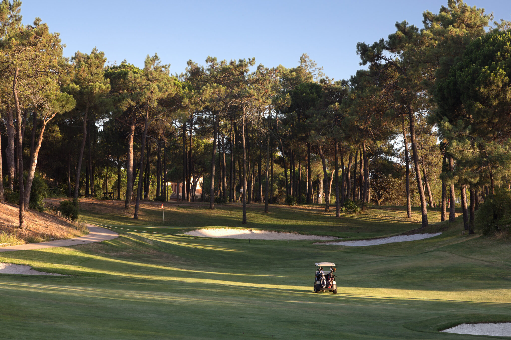 Buggy on the fairway at Islantilla Golf Course with trees around