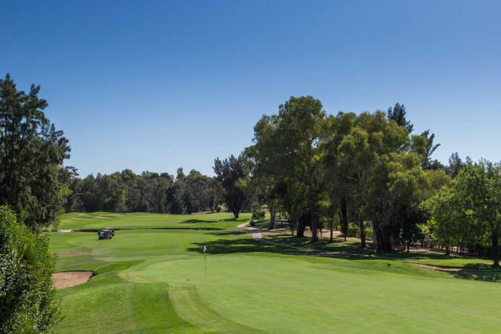 Fairway with trees at Penina Resort Golf Course
