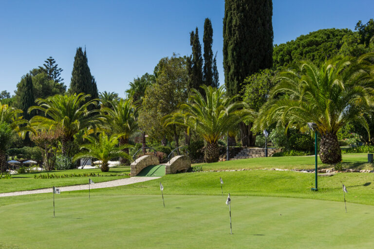 Practice facilities with palm trees in background at Penina Resort Golf Course