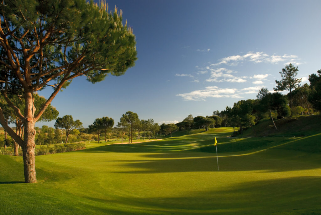 Hole with yellow flag at Pinheiros Altos Golf Course with trees around