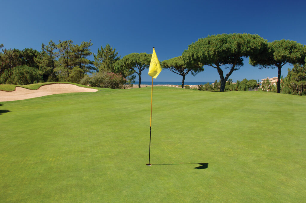 A green with flag and trees in background at San Lorenzo Golf Course