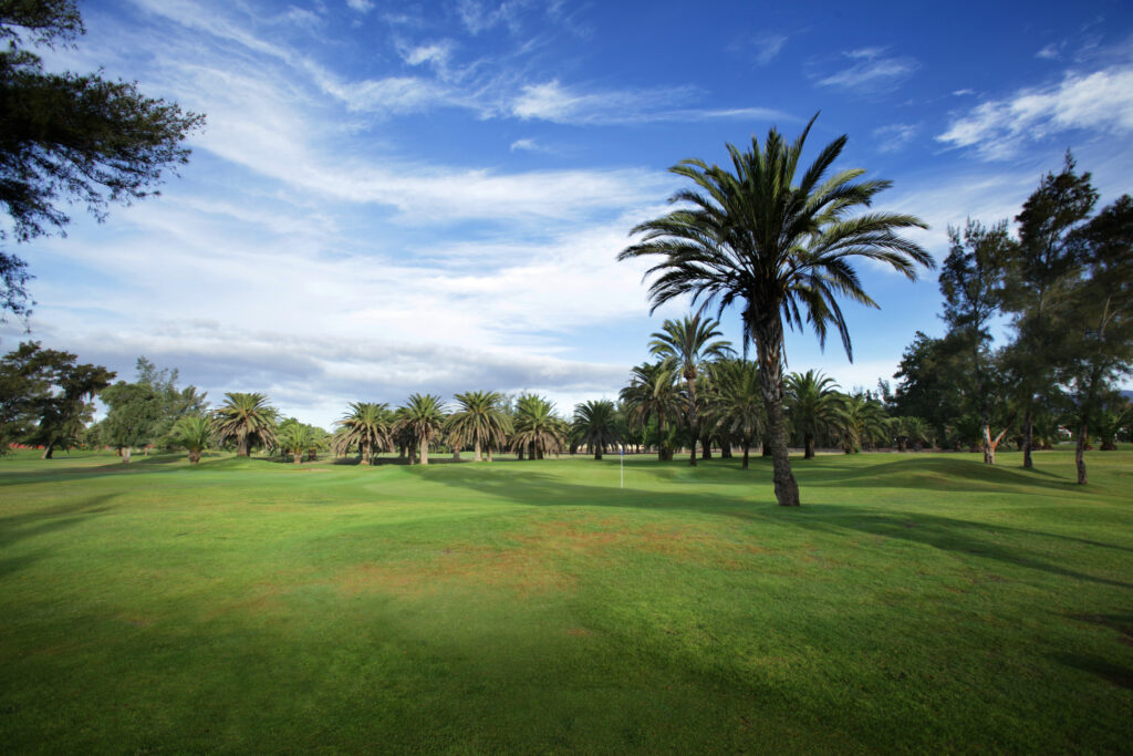 Fairway with trees around at Campo de Golf de Maspalomas