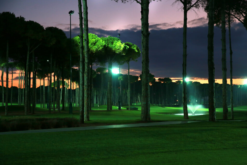 Fairway with trees around at Carya Golf Course at night