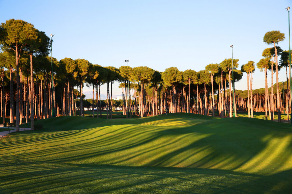 Fairway with trees around at Carya Golf Course