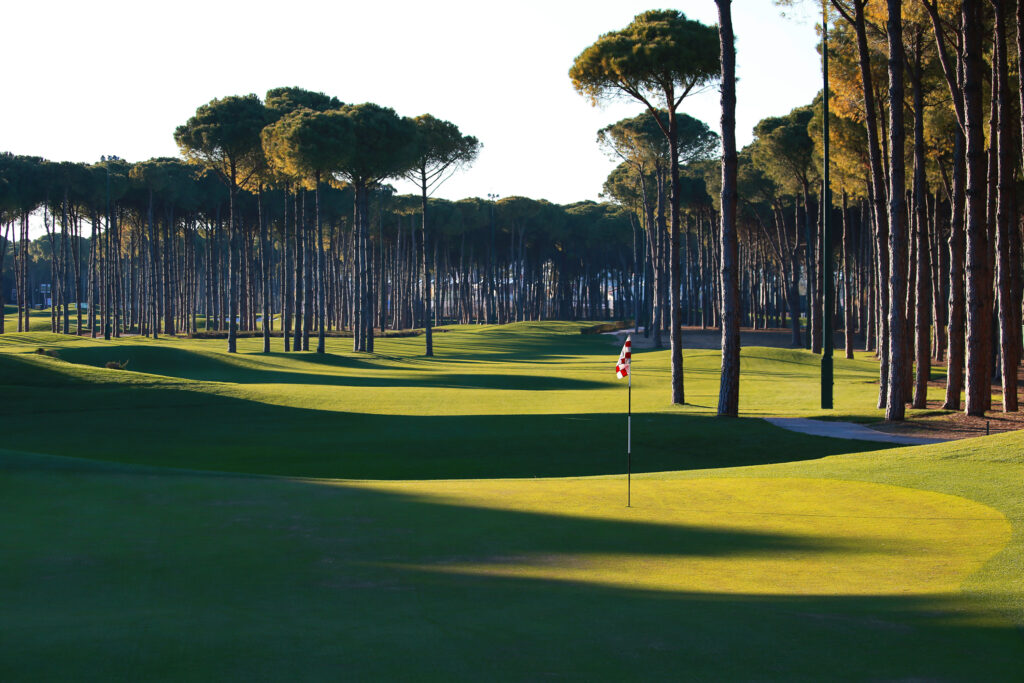 Hole with trees around at Carya Golf Course